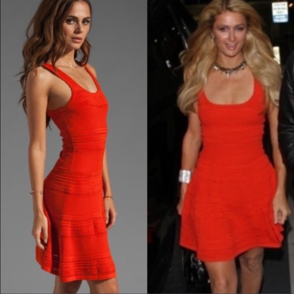 Torn by Ronny Kobo Alberta Dress size XS